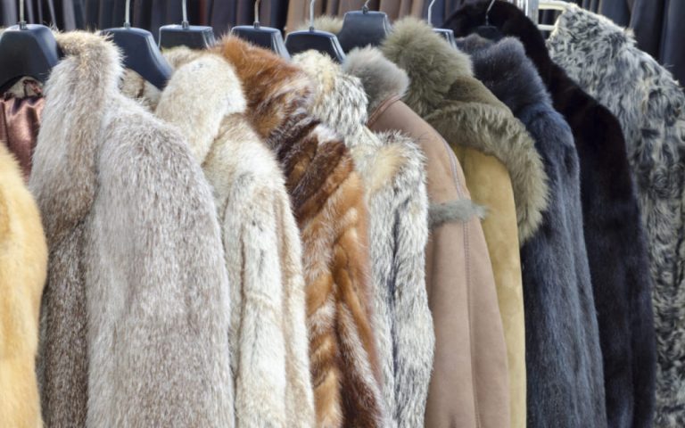 Минпромторг прокомментировал незаконные поставки меха