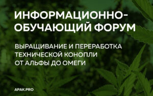 Эксперты АПАК рассказали о развитии коноплеводства