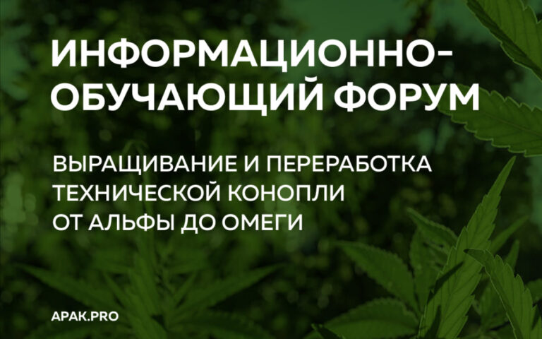 Эксперты АПАК рассказали о развитии коноплеводства